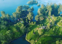 The Farm Resorts