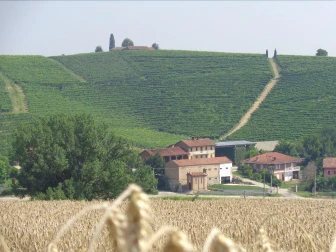 Grancollina