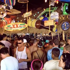 fiesta catina