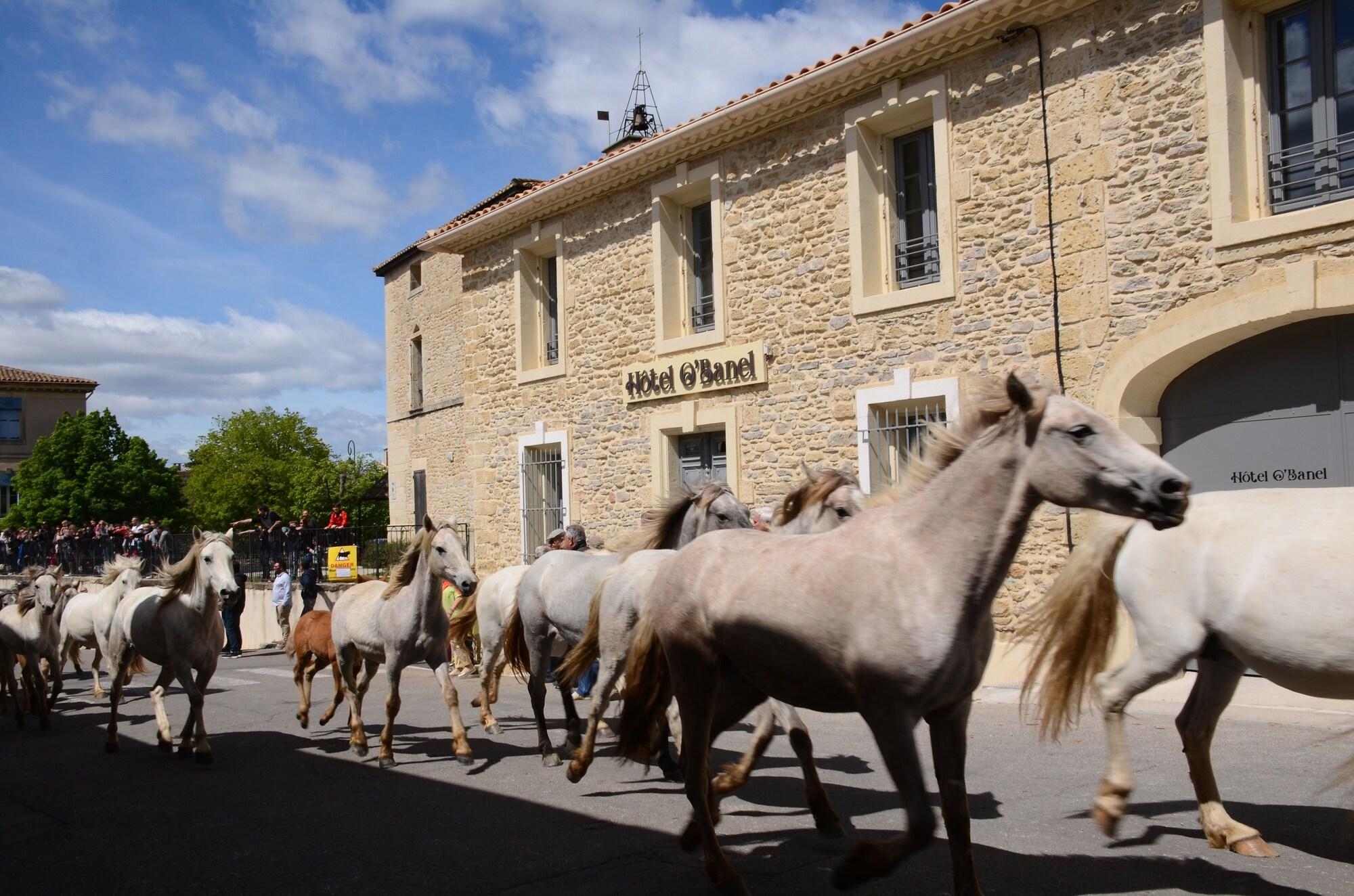 Hôtel Restaurant O'Banel