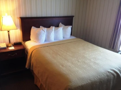 Quality Hotel & Suites Woodstock