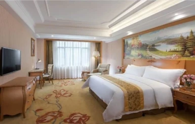 Vienna International Hotel Guangzhou Airport Xinsh