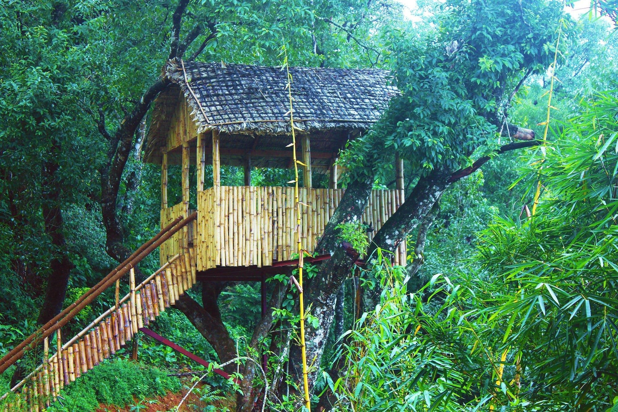 Tea Valley Resort