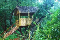 Tea Valley Resort