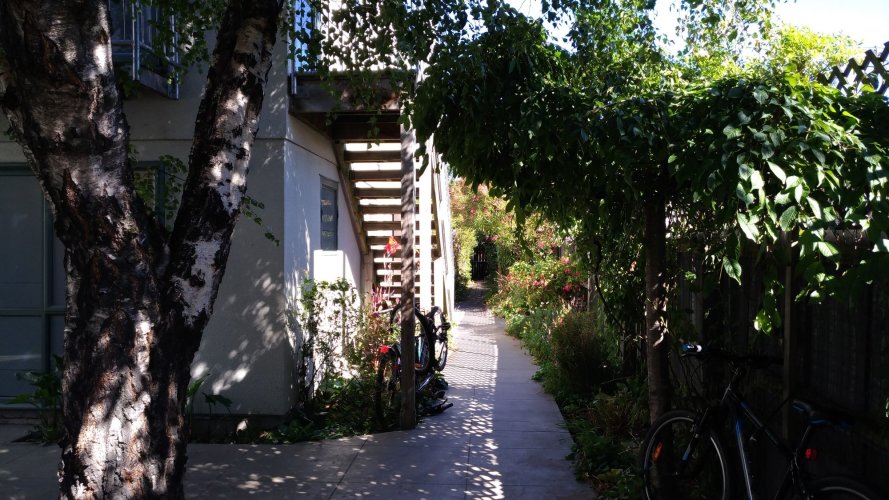 Kiwi House - Hostel