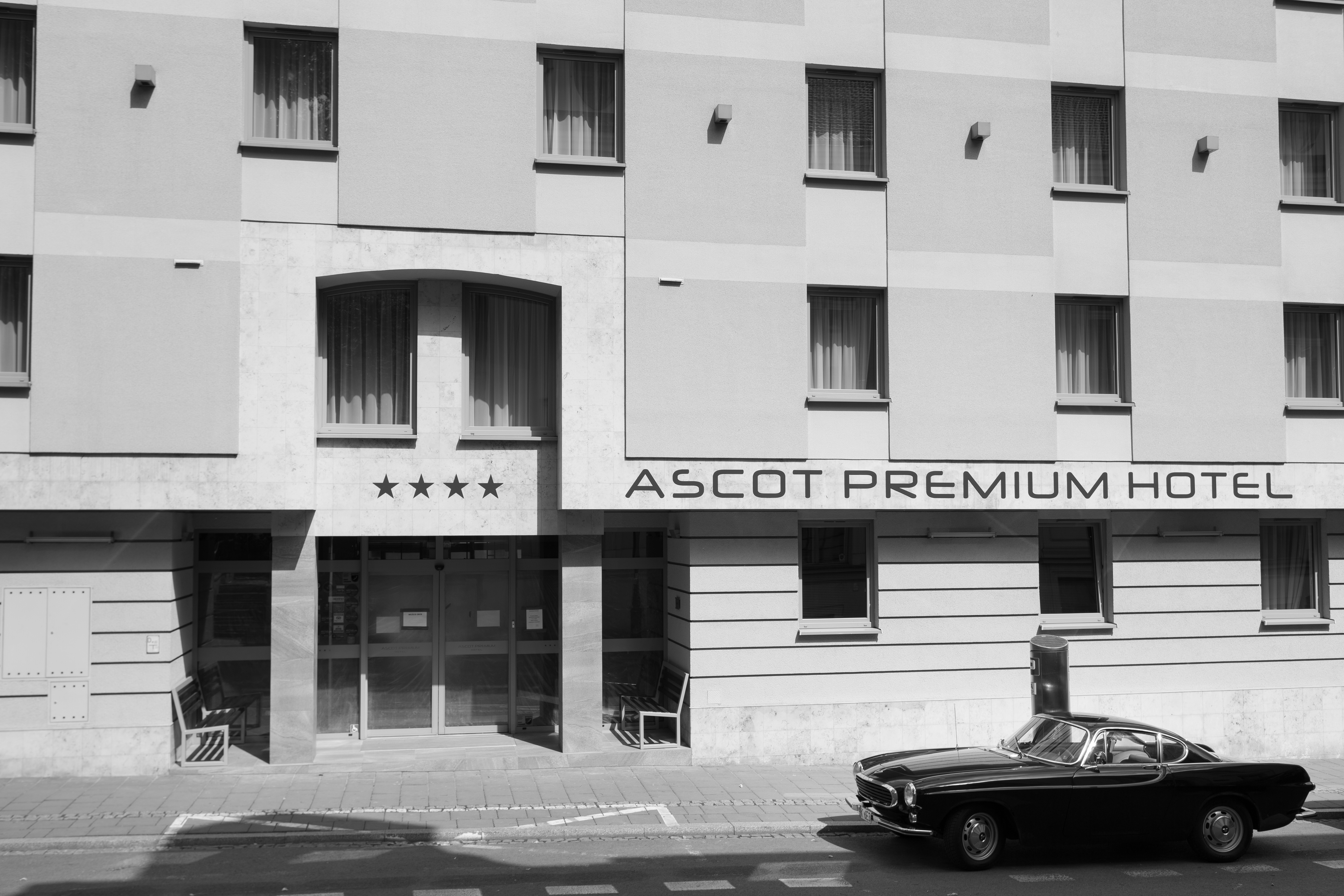 Ascot Premium