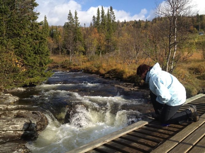 Pensionat Mullfjället i Åre AB