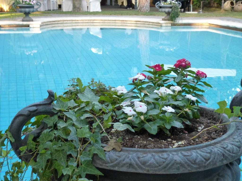 Villa Paradiso dell'Etna