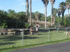Tropical Palms Resort & Campground