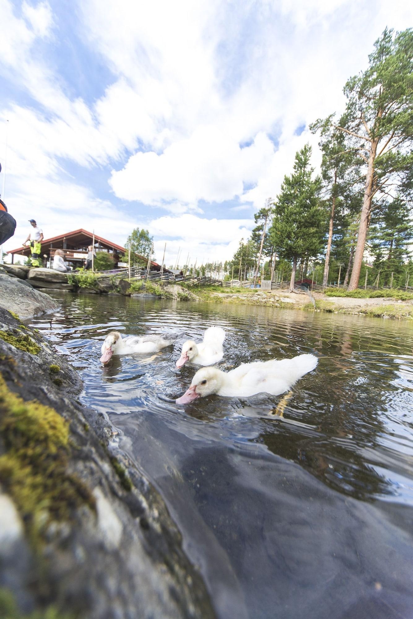 Dombås Hostel