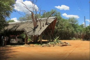 Jaci's Lodges