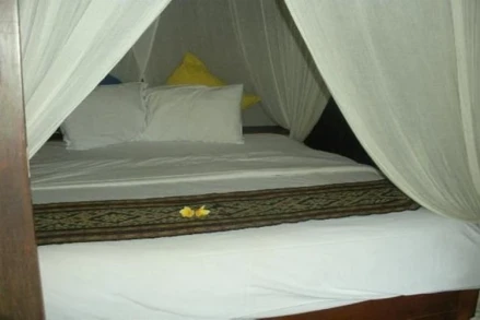 Exclusive Bali Bungalows