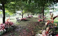 Hug Jang Loei Garden