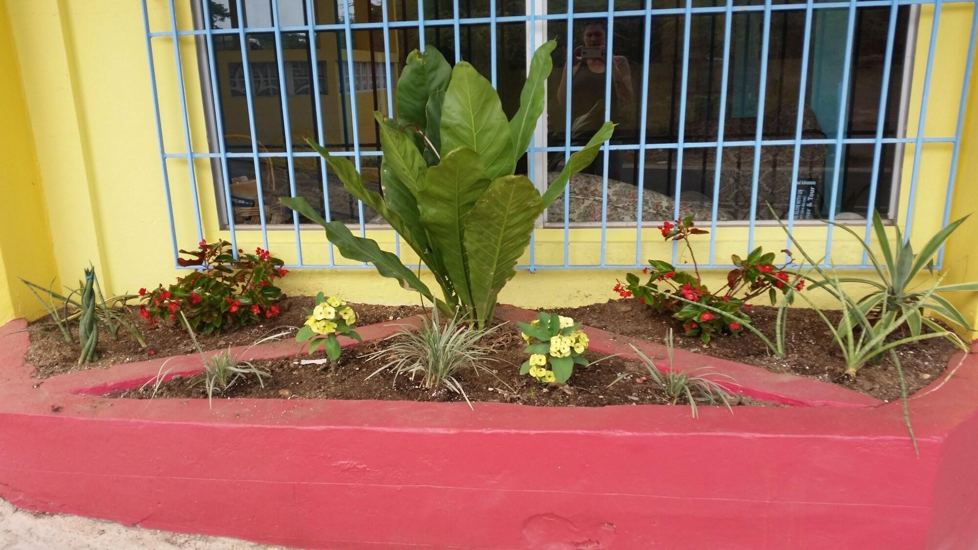 The Vieques Guesthouse