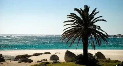 camps bay, gay cape town
