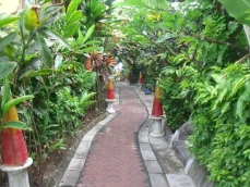 Ashyana Candidasa