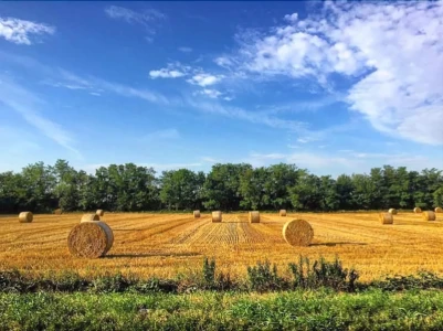 Agriturismo Cascina Magana
