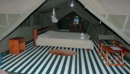 Enchoro Wildlife Camp Masai Mara