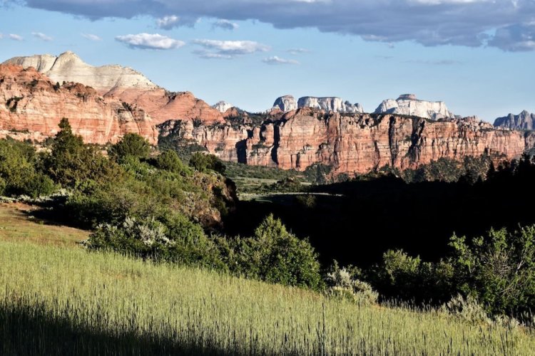 Zion's Camp and Cottages