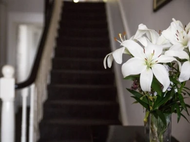 seaspray bed and breakfast