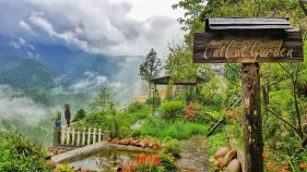 Catcat Garden House