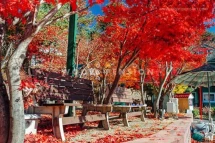Yangpyeong Woori Valley Pension