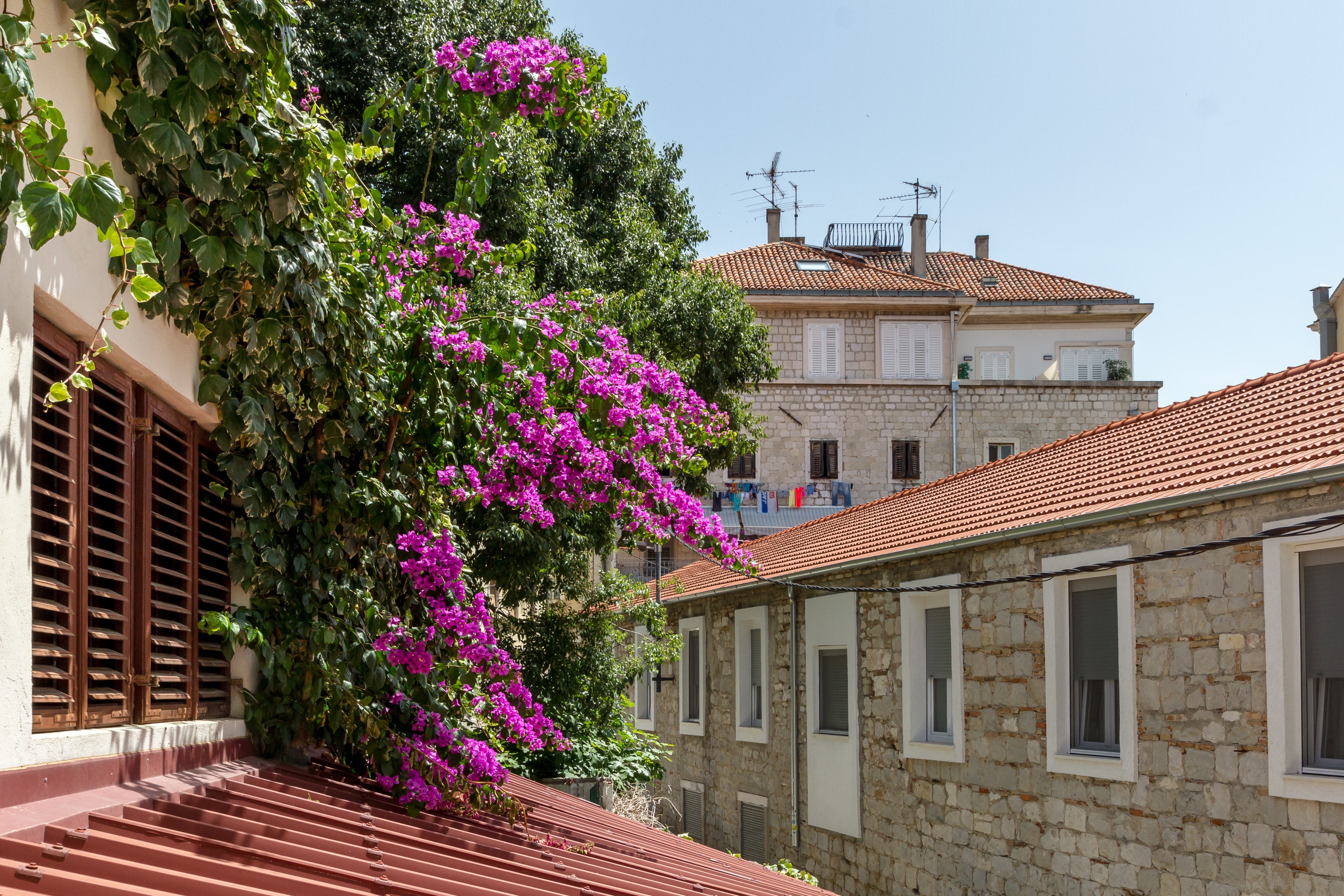 Guesthouse Imperator