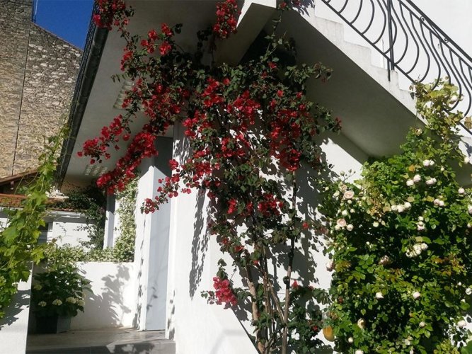 Le Clos Chez Michel