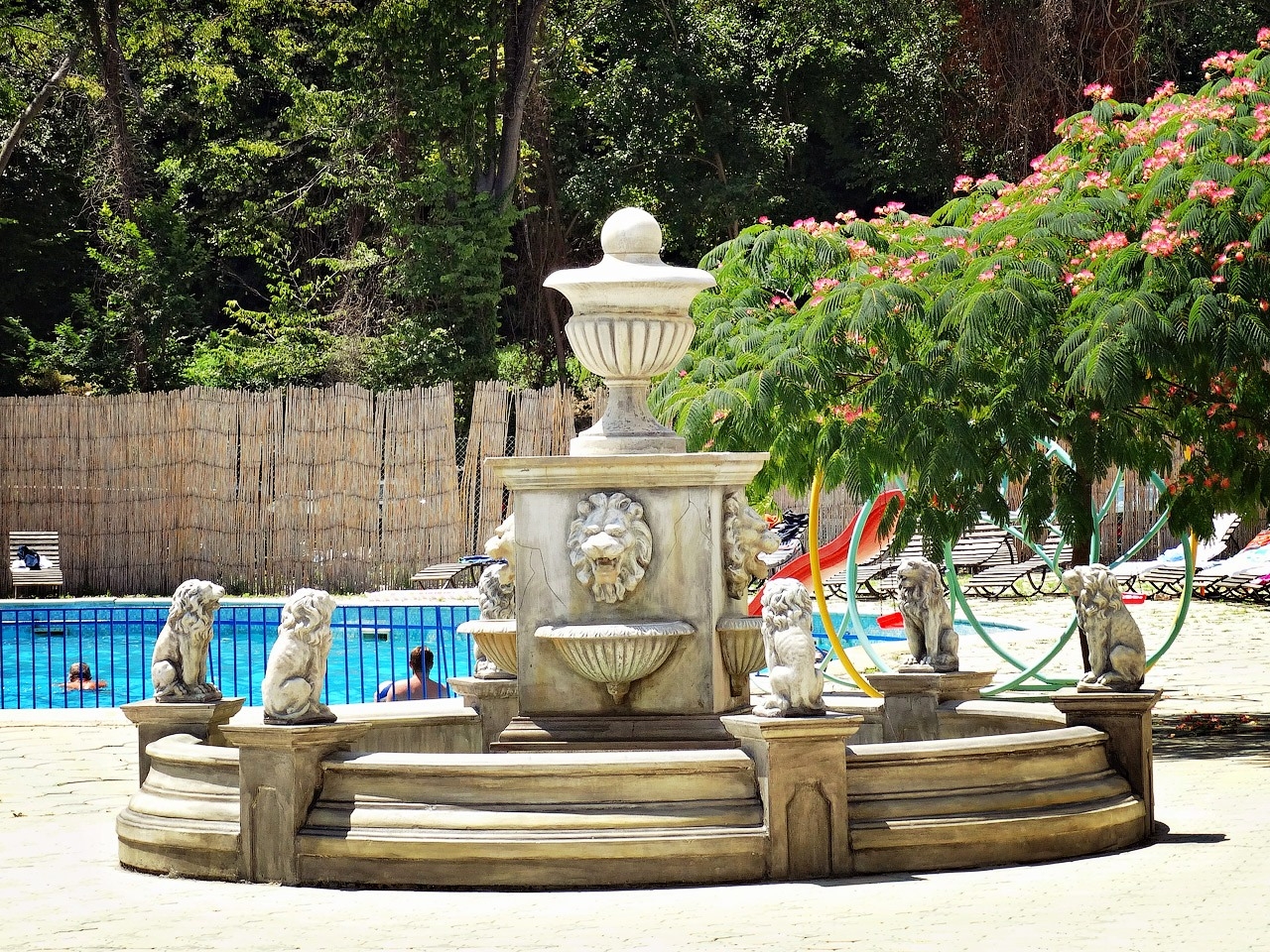 Dana Park