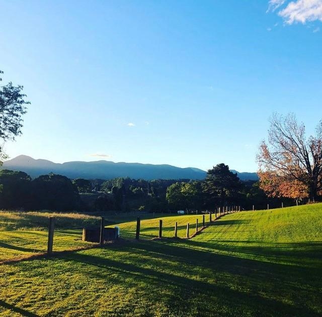 Bellingen Valley Lodge