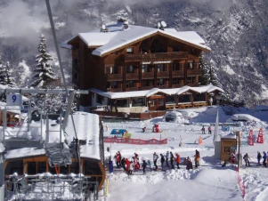 Les Flocons