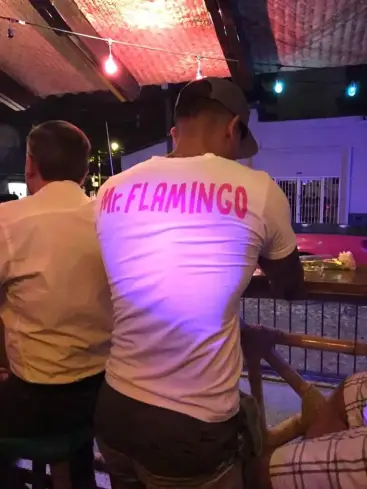 Sr. Flamingo