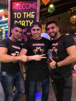 Mr. Flamingo