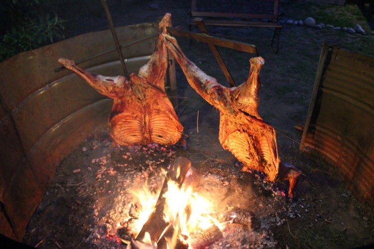 Cauquenes de Nimez