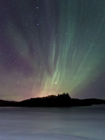 Hotel Bifrost