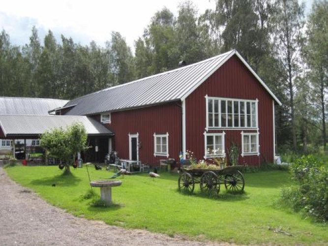 Norrängens Alpacka - Det lilla boutiquehotellet med en fluffy twist