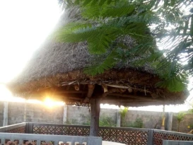 Chola Hotel and Resorts