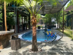 Oasis