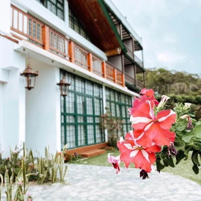 Verdant Hotel & Holistic Experience