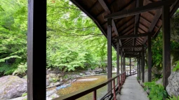Futamata Onsen Kashiwaya Ryokan