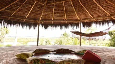 Art Jungle Eco Lodge