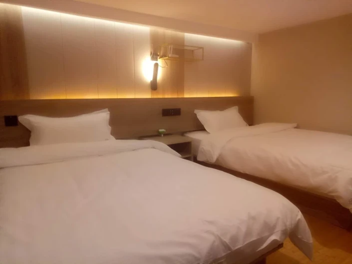Pinmei Hotel Of Shanghai Expo
