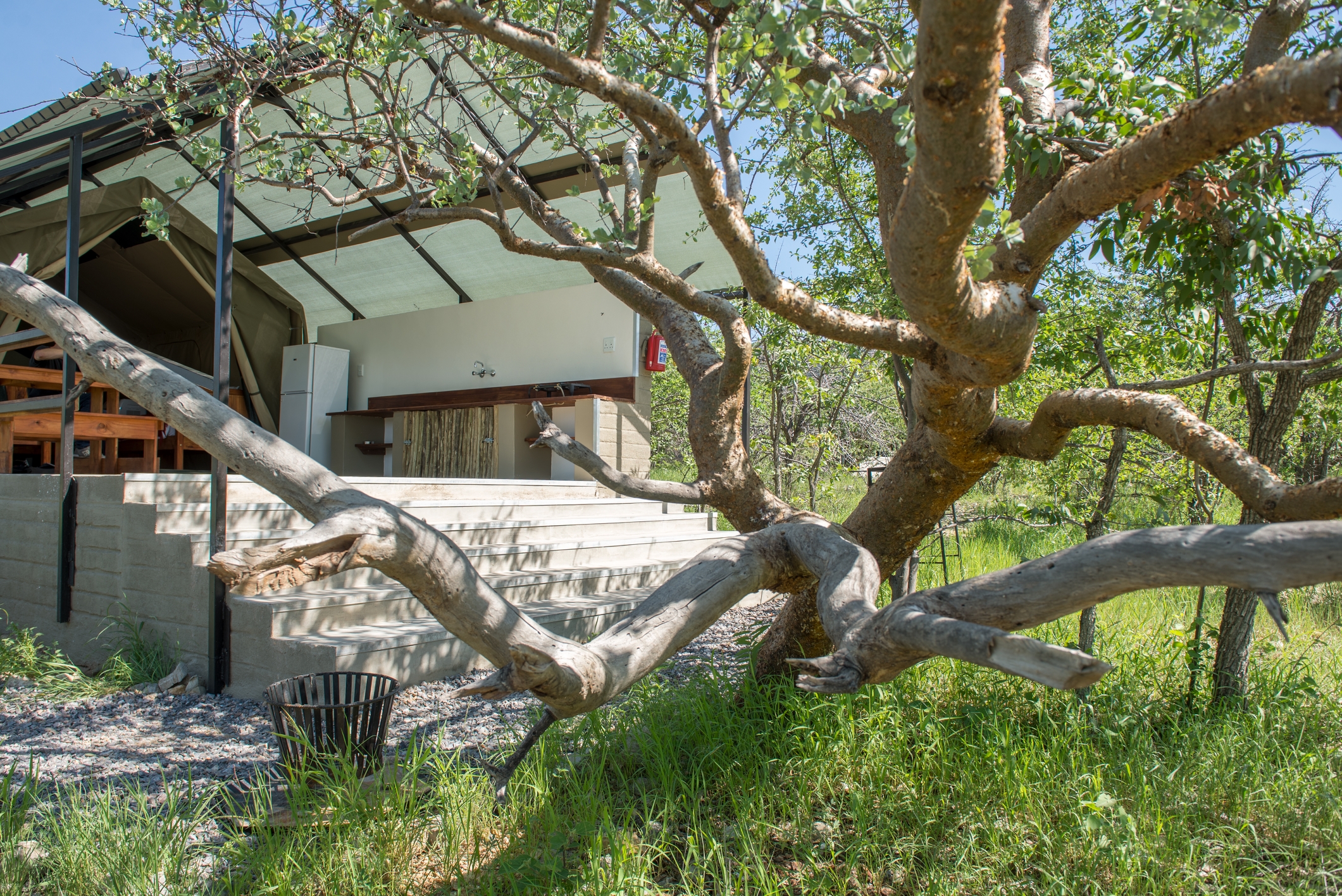 Etosha Safari Camping2Go