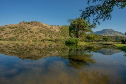 Saragossa Game Lodge
