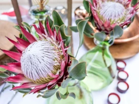 Kimberley Anne Small Luxury Hotel