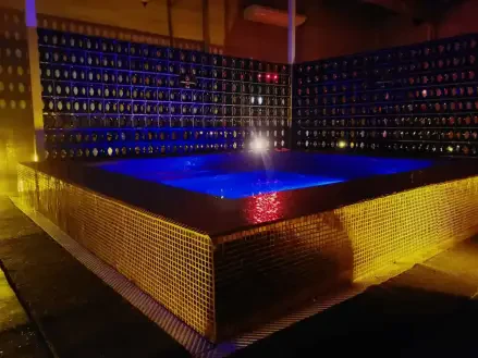 269 Chilli Pepper Single Sauna