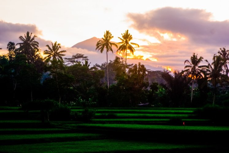 Thantha Serenity Resort