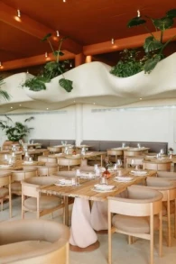 Epidamn White Sensation