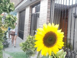 Nasca Travel One Hostel