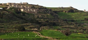 Ayiopetra Exclusive Getaways